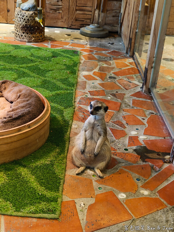 香格里拉休閒農場,宜蘭住宿首選,親子景點玩樂趣,銀絨牡丹季必訪秘境