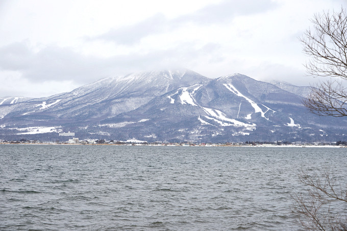 日本福島豬苗代湖冬季必訪！罕見樹冰奇景絕美，天鵝群聚成療癒雪白世界。