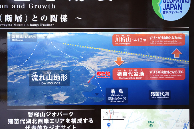 日本福島豬苗代湖冬季必訪！罕見樹冰奇景絕美，天鵝群聚成療癒雪白世界。