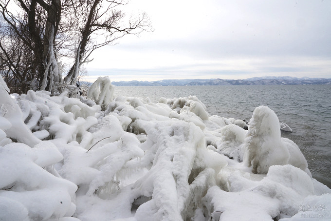 日本福島豬苗代湖冬季必訪！罕見樹冰奇景絕美，天鵝群聚成療癒雪白世界。