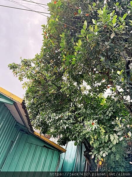 {澳門美食}路環漢記咖啡,隱身在廢棄船廠的神秘咖啡店,超推豬