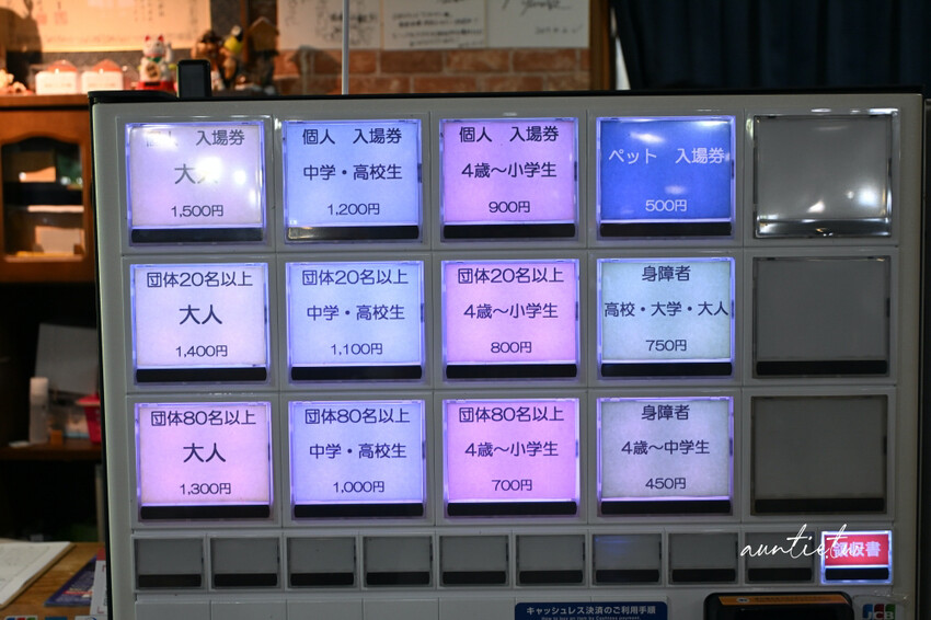 日本最長水中鐘乳石洞！大分旅遊必訪水中鐘乳石洞，玩浮潛泡桑拿秘境。