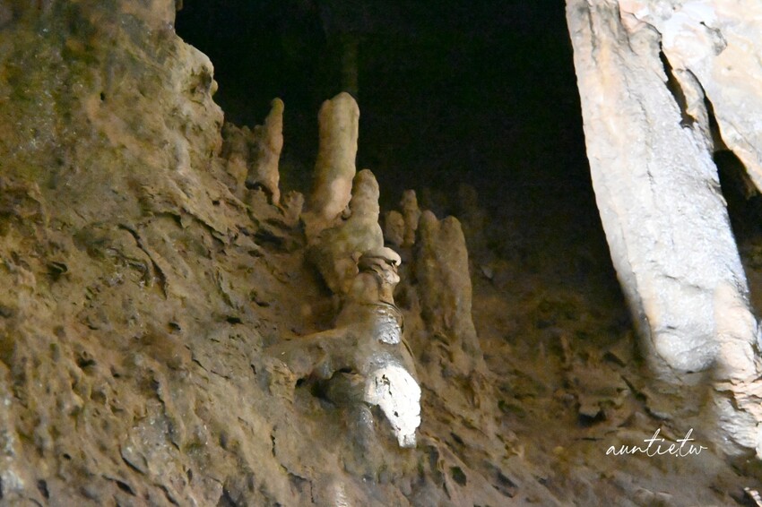 日本最長水中鐘乳石洞！大分旅遊必訪水中鐘乳石洞，玩浮潛泡桑拿秘境。