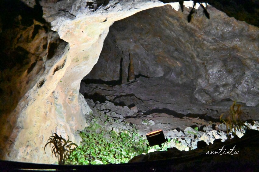日本最長水中鐘乳石洞！大分旅遊必訪水中鐘乳石洞，玩浮潛泡桑拿秘境。
