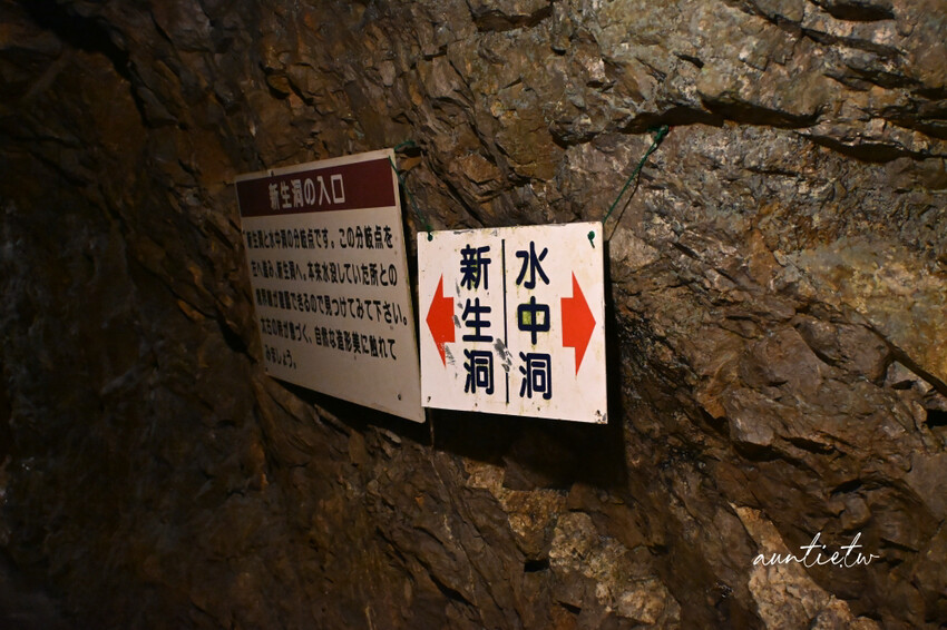 日本最長水中鐘乳石洞！大分旅遊必訪水中鐘乳石洞，玩浮潛泡桑拿秘境。