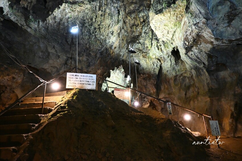 日本最長水中鐘乳石洞！大分旅遊必訪水中鐘乳石洞，玩浮潛泡桑拿秘境。
