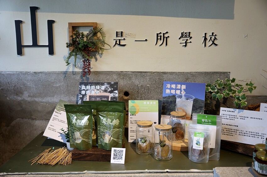 不需遠行，台中原流新創聚落，你的南島學堂，開啟一場真實台中部落體驗