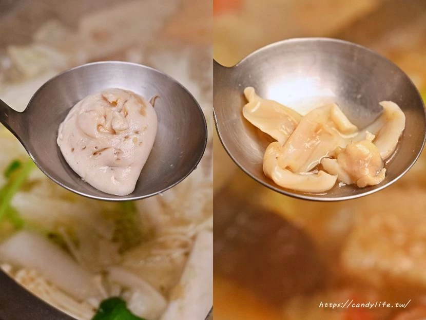 台中市南屯區菁選涮涮鍋｜台中這間活體海鮮鍋物太狂啦！活體松葉蟹超低價雙人只要2999元，還有活體象拔蚌兩吃！