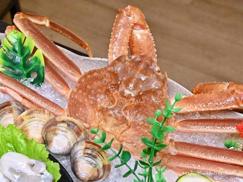 台中市南屯區菁選涮涮鍋｜台中這間活體海鮮鍋物太狂啦！活體松葉蟹超低價雙人只要2999元，還有活體象拔蚌兩吃！