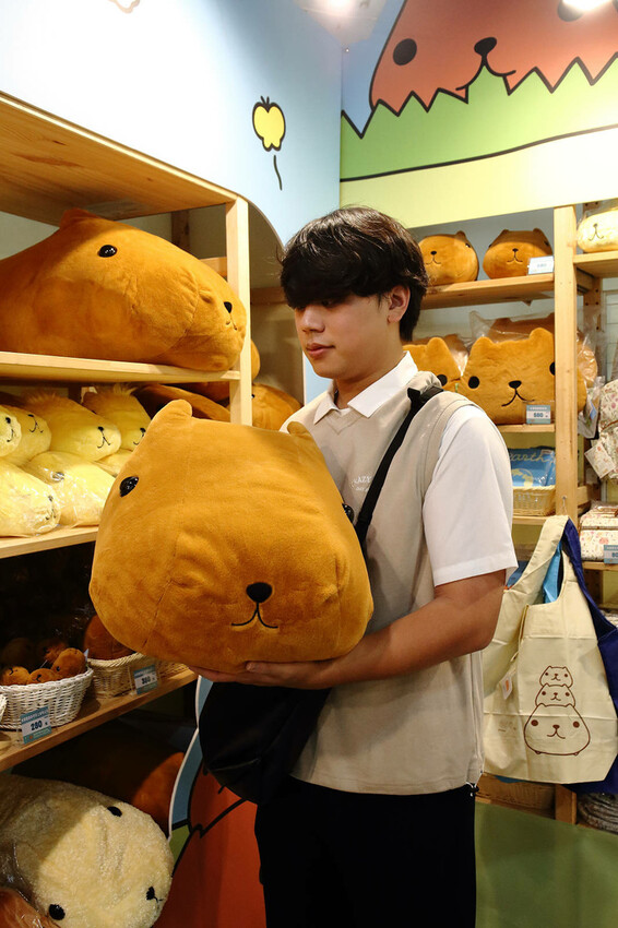 「水豚君20週年紀念快閃店」華山文創園區登場！5大主題區及打