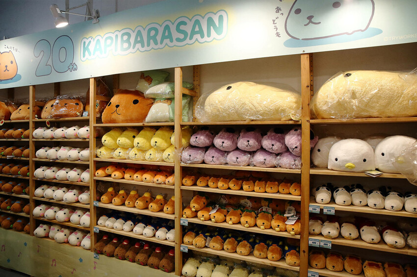 「水豚君20週年紀念快閃店」華山文創園區登場！5大主題區及打