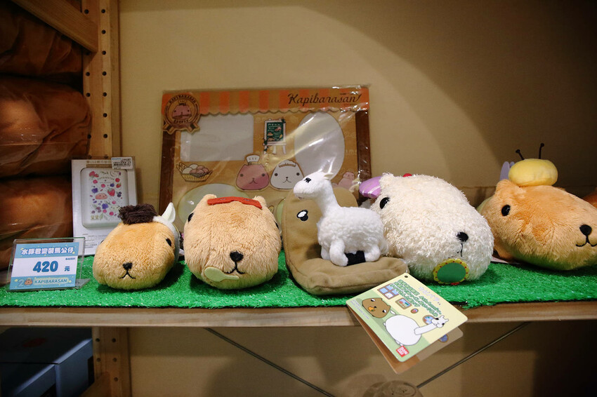 「水豚君20週年紀念快閃店」華山文創園區登場！5大主題區及打