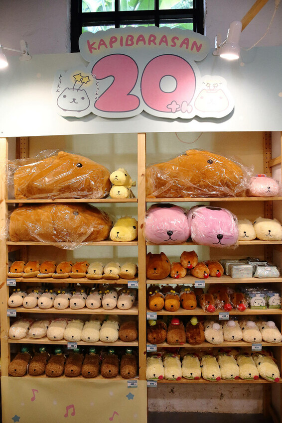 「水豚君20週年紀念快閃店」華山文創園區登場！5大主題區及打