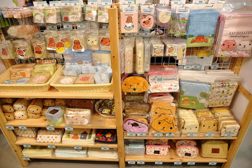 「水豚君20週年紀念快閃店」華山文創園區登場！5大主題區及打