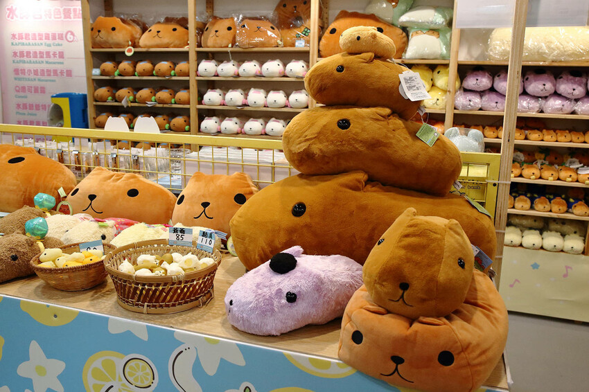 「水豚君20週年紀念快閃店」華山文創園區登場！5大主題區及打