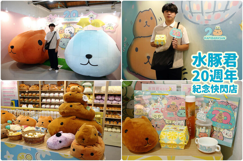 「水豚君20週年紀念快閃店」華山文創園區登場！5大主題區及打