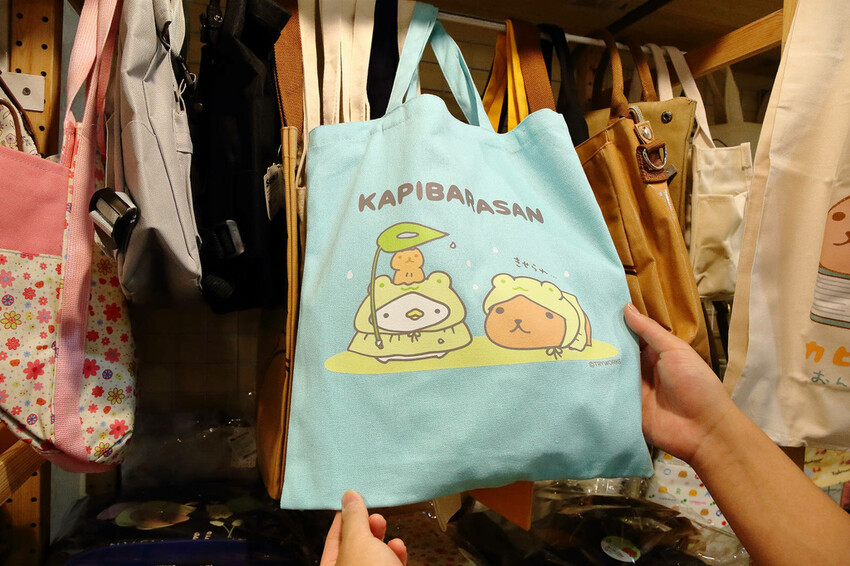 「水豚君20週年紀念快閃店」華山文創園區登場！5大主題區及打