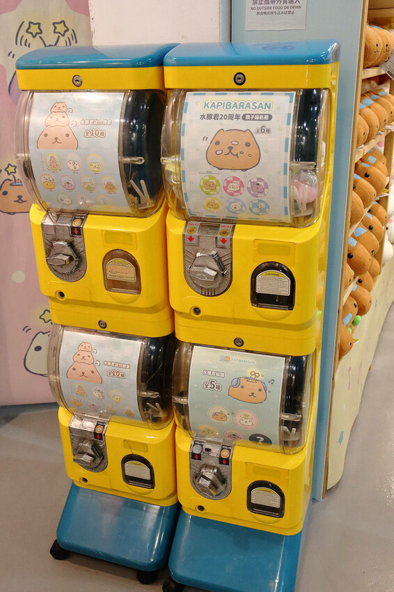 「水豚君20週年紀念快閃店」華山文創園區登場！5大主題區及打