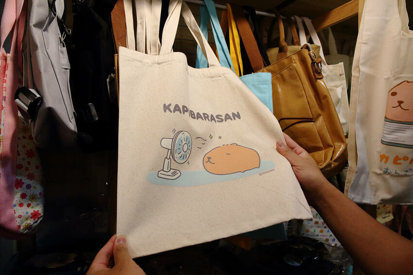 「水豚君20週年紀念快閃店」華山文創園區登場！5大主題區及打