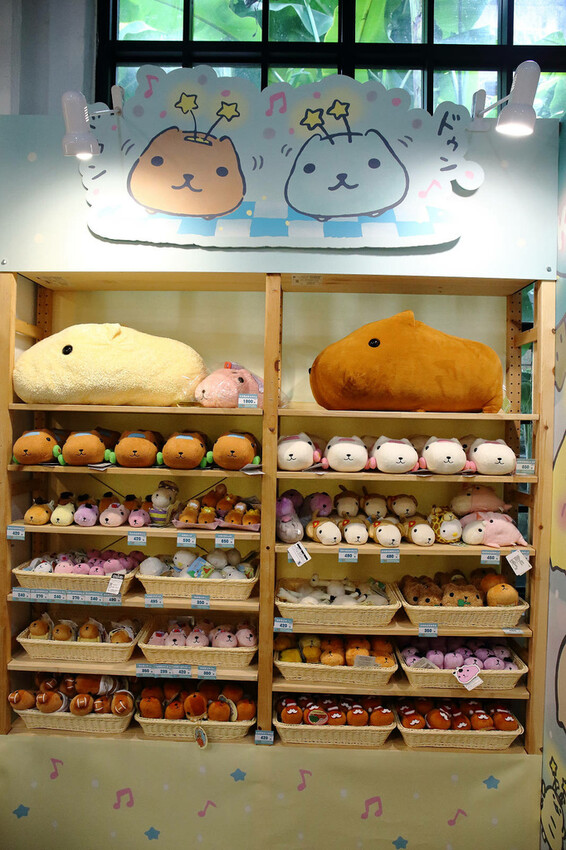 「水豚君20週年紀念快閃店」華山文創園區登場！5大主題區及打