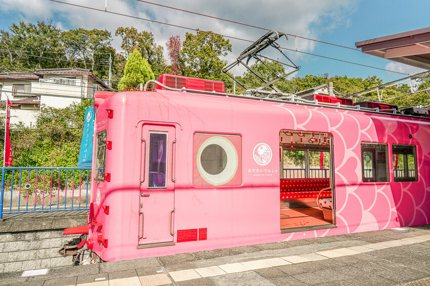 日本和歌山鯛魚列車！南海加太線半日遊，暢遊加太町漁村與特色電車體驗。