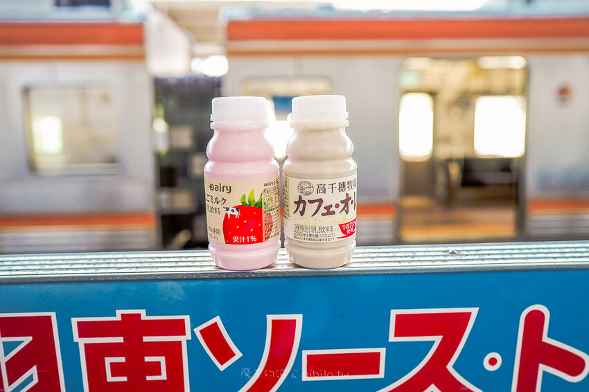 日本和歌山鯛魚列車！南海加太線半日遊，暢遊加太町漁村與特色電車體驗。