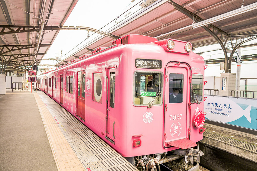 日本和歌山鯛魚列車！南海加太線半日遊，暢遊加太町漁村與特色電車體驗。
