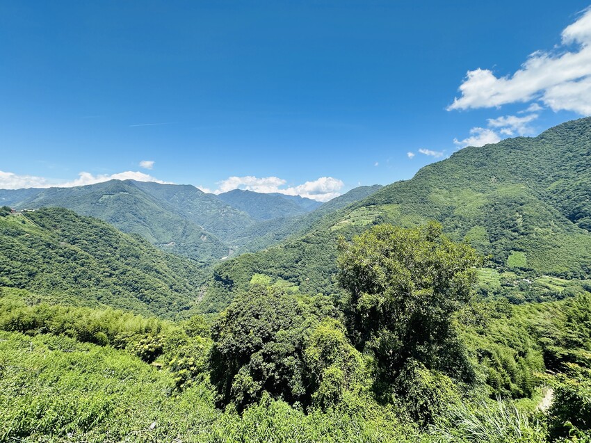 2025探索北橫必玩！「靜謐放鬆之旅－採果之旅」體驗分享｜水