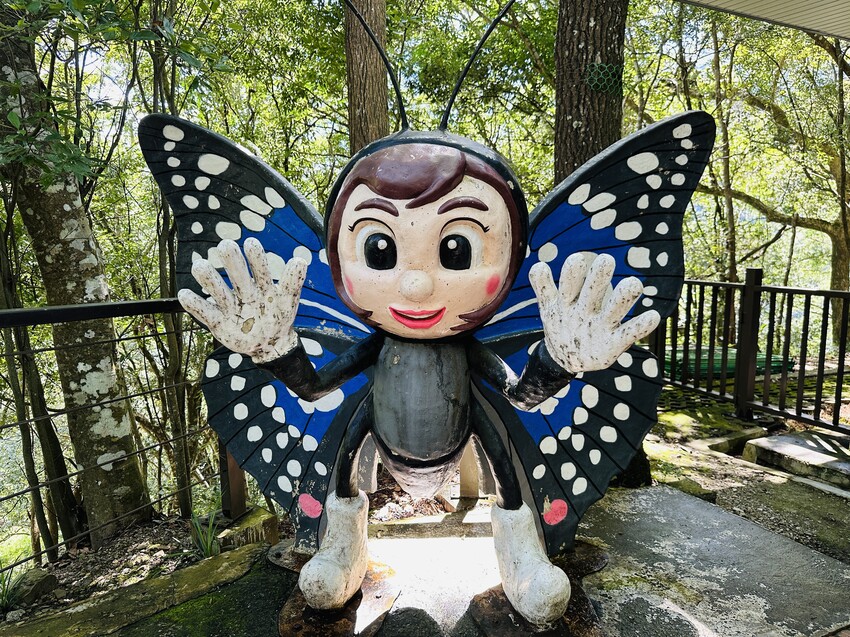 2025探索北橫必玩！「靜謐放鬆之旅－採果之旅」體驗分享｜水