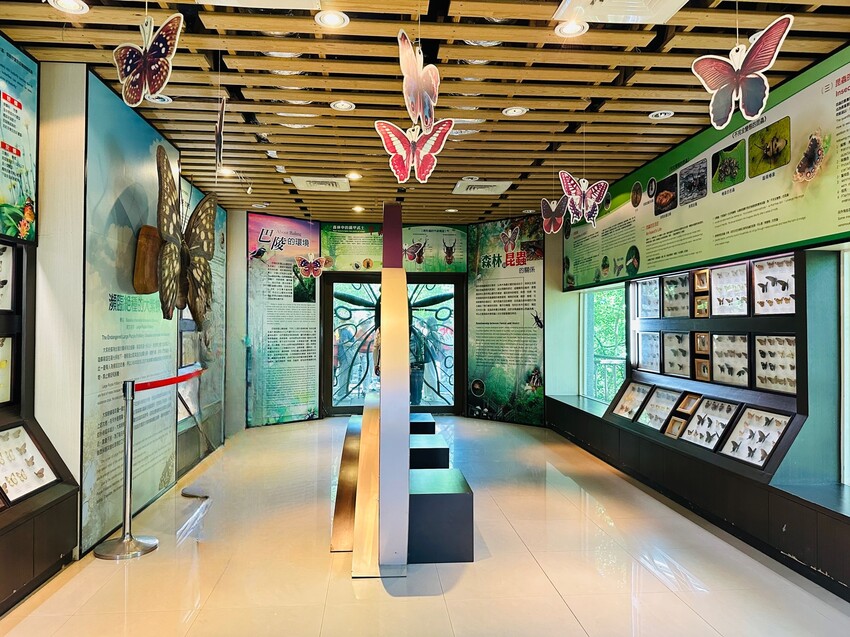 2025探索北橫必玩！「靜謐放鬆之旅－採果之旅」體驗分享｜水