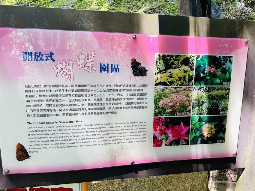 2025探索北橫必玩！「靜謐放鬆之旅－採果之旅」體驗分享｜水