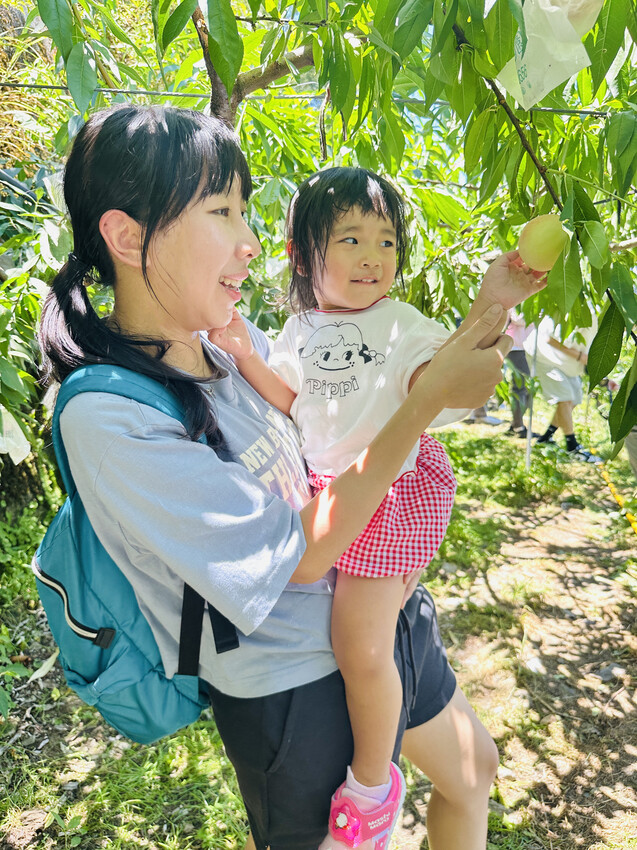 2025探索北橫必玩！「靜謐放鬆之旅－採果之旅」體驗分享｜水