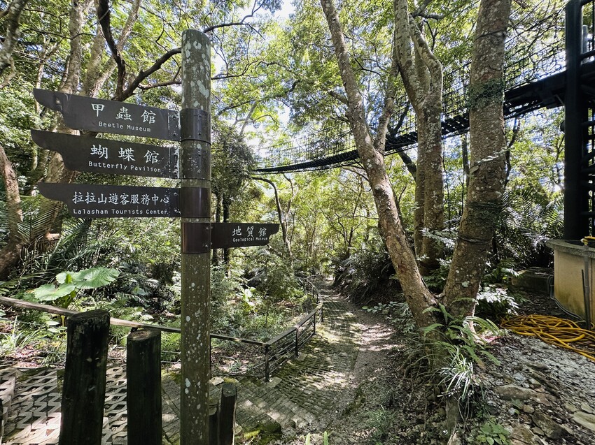 2025探索北橫必玩！「靜謐放鬆之旅－採果之旅」體驗分享｜水