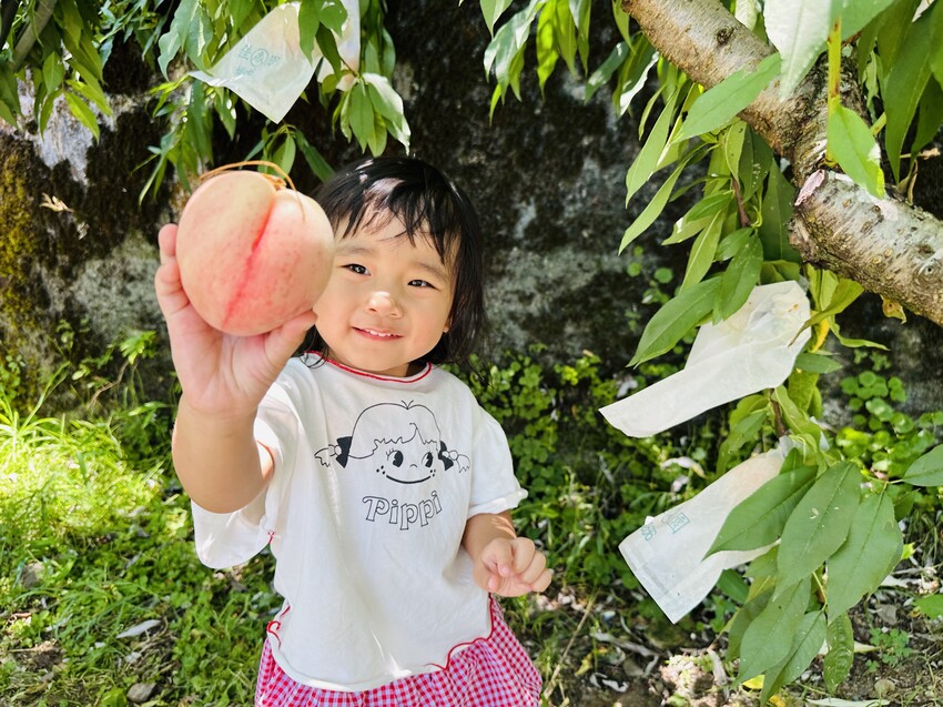 2025探索北橫必玩！「靜謐放鬆之旅－採果之旅」體驗分享｜水