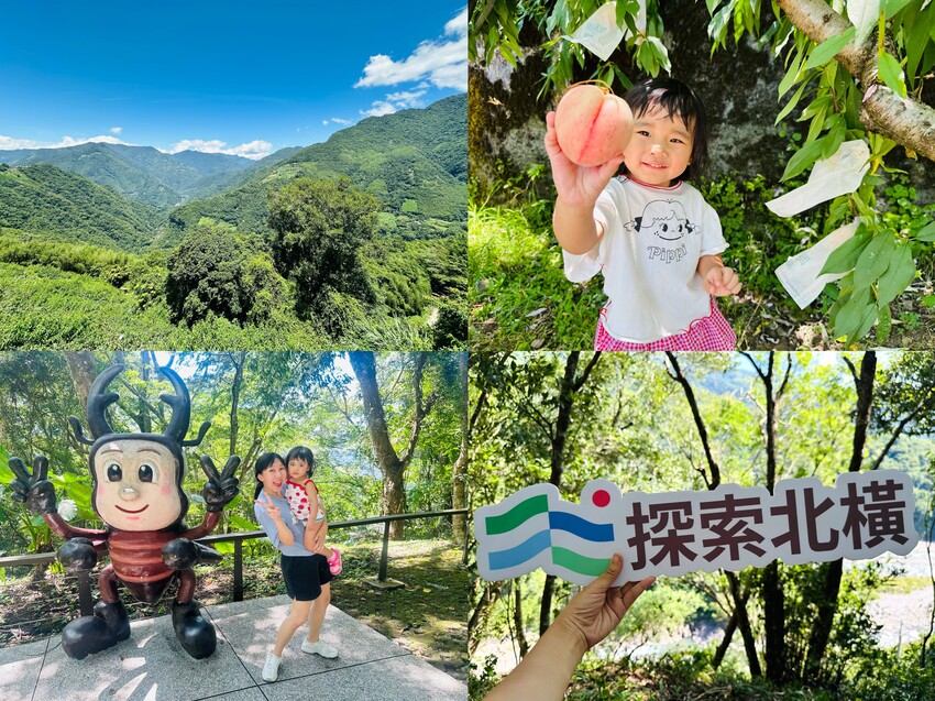 2025探索北橫必玩！「靜謐放鬆之旅－採果之旅」體驗分享｜水