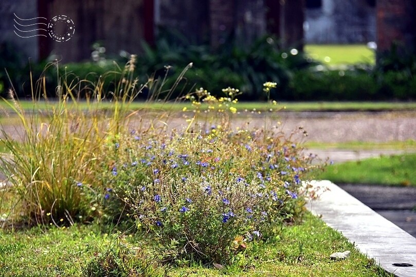 中興文化創意園區