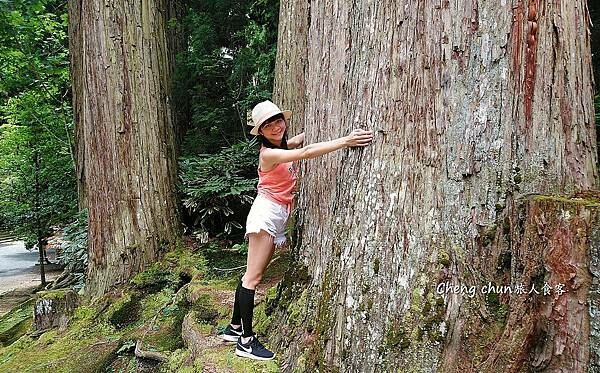 日本歌山縣【高野山一千二百年佛門聖域】世界文化遺產走訪隨記