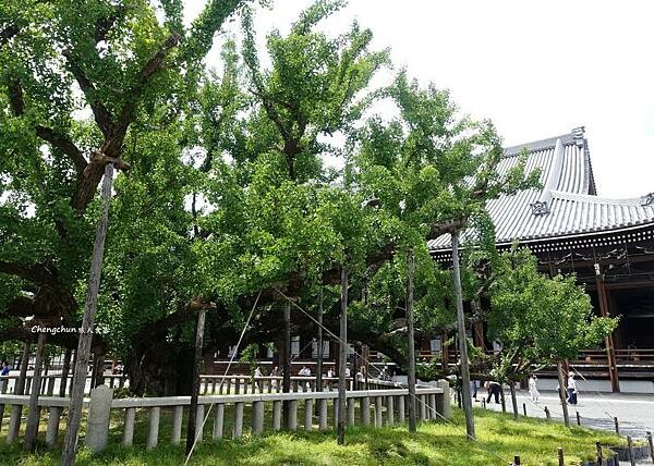 京都世界遺產【西本願寺】誦經賞國寶,近京都車站 京都世界遺產【西本願寺】誦經賞國寶,近京都車站