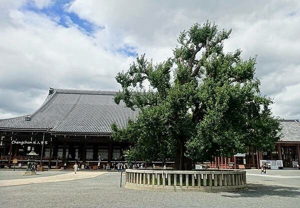 京都世界遺產【西本願寺】誦經賞國寶,近京都車站 京都世界遺產【西本願寺】誦經賞國寶,近京都車站