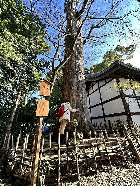 東京近郊【川越一番街商店街】小江戶散步隨記