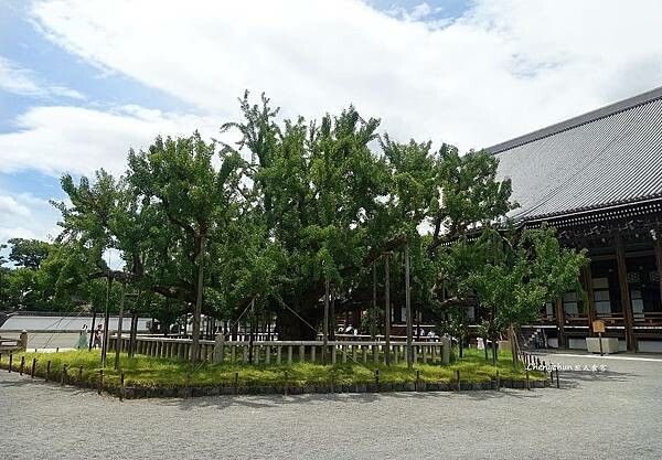 京都世界遺產【西本願寺】誦經賞國寶,近京都車站 京都世界遺產【西本願寺】誦經賞國寶,近京都車站
