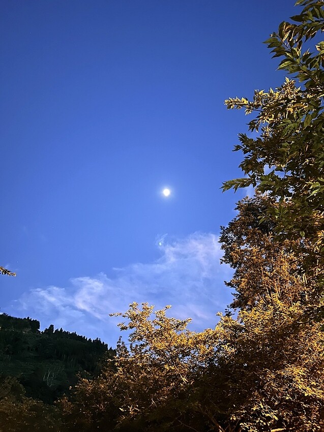 2025愛在一起玩，今夏露營趣Day 1，📌小烏來風景特定區