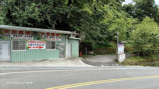 2025愛在一起玩,今夏露營趣Day 2,🌲拉拉山國家森林遊