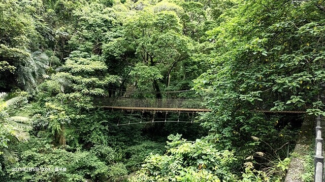 2025愛在一起玩，今夏露營趣Day 1，📌小烏來風景特定區