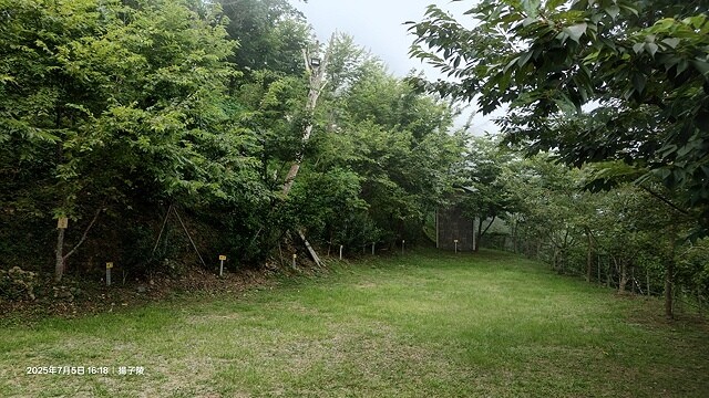 2025愛在一起玩，今夏露營趣Day 1，📌小烏來風景特定區