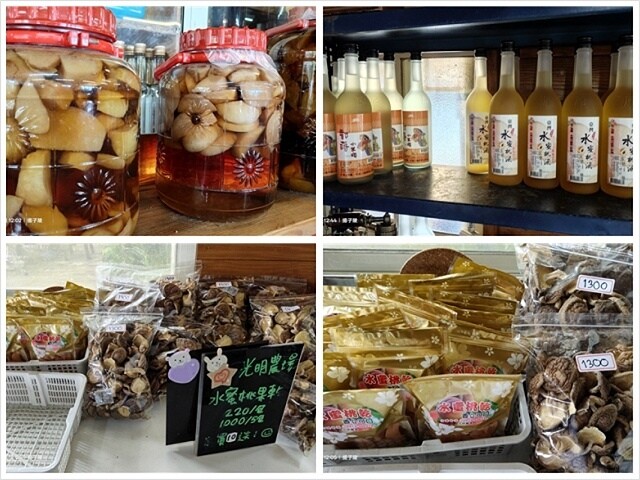 2025愛在一起玩,今夏露營趣Day 2,🌲拉拉山國家森林遊