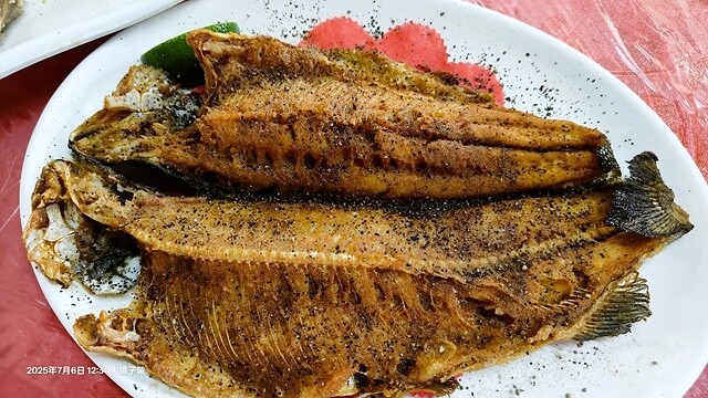 2025愛在一起玩,今夏露營趣Day 2,🌲拉拉山國家森林遊