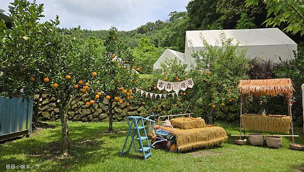 【住。在苗栗】大湖鄉–懶人露營初體驗！ 一泊四食還有舒適住宿