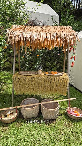 【住。在苗栗】大湖鄉–懶人露營初體驗！ 一泊四食還有舒適住宿