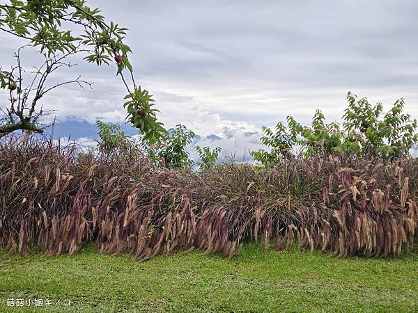 【住。在苗栗】大湖鄉–懶人露營初體驗！ 一泊四食還有舒適住宿
